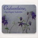 COLUMBINE, AQUELEGIA HUBRIDA mousepads by dequilla COLUMBINE, AQUELEGIA HUBRIDA mousepads