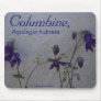 COLUMBINE, AQUELEGIA HUBRIDA