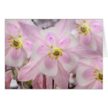 Columbine Fantasy cards