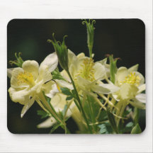 Columbine flower and its meaning mousepad