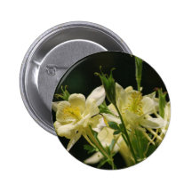 Columbine flower and its meaning pinback button