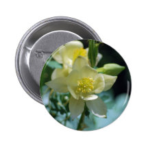 Columbine flower means to win buttons