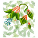 Columbine flowery t-shirts