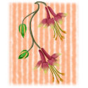 Columbine flowery t-shirts