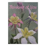 Columbine Greeting Cards