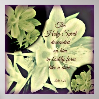 Columbine Holy Spirit Poster