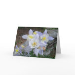 Columbine Note Card Columbine Note Card