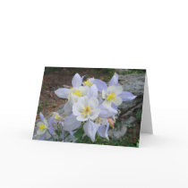 Columbine Note Card