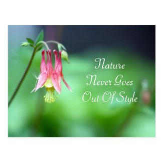 Columbine Photography & Nature Quote Postcard