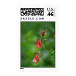 Columbine Stamps