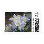 Columbine Postage Stamp