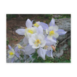 Columbine Postcard Columbine Postcard