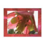 columbine post card