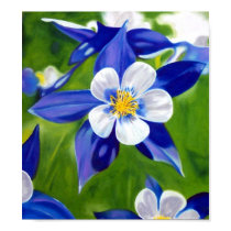 Columbine posters