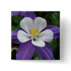 Columbine Purple and White Flower Button