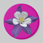 Columbine Purple and White Flower Magnet magnets