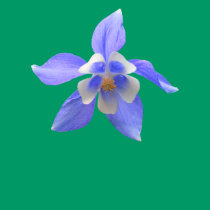 Columbine ~ T-shirt