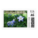 Columbines, Rawah Wilderness postage