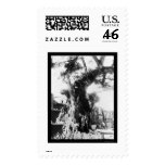 Columbus Tree at Santo Domingo 1912 Postage Stamp