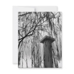 Column Under Weeping tree Black and White Picture Personalized Announcement