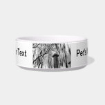 Column Under Weeping tree Black and White Picture Cat Water Bowls