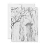 Column Under Weeping Tree High Dynamic range Custom Announcement