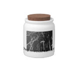 Column Under Weeping Tree Reverse Negative Candy Jars