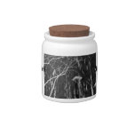 Column Under Weeping Tree Reverse Negative Candy Jars