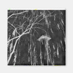 Column Under Weeping Tree Reverse Negative Refrigerator Magnet