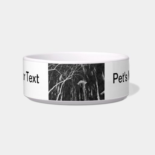 Column Under Weeping Tree Reverse Negative Cat Food Bowl