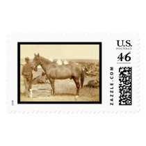 Comanche, Army Horse SD 1887 Stamp