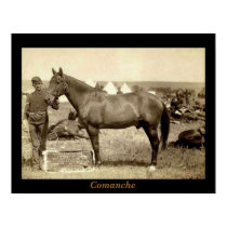 Comanche posters by chysshirts Comanche posters