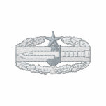 Combat Action Badge 2nd Award