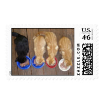 Come an get it! postage