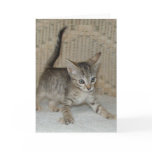 Come And Get Me! Greeting Card