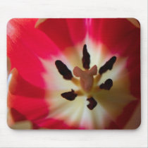 Come closer mousepads
