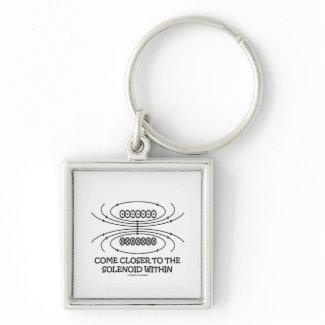 Come Closer To The Solenoid Within (Physics Humor) keychain