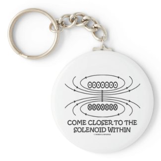 Come Closer To The Solenoid Within (Physics Humor) keychain