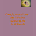 Come Fly Away With Me.... t-shirts
