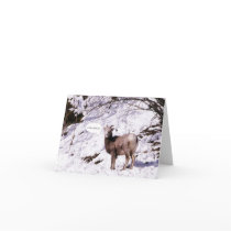 Come join us note card