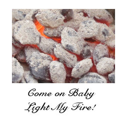 Come on Baby Light My Fire! Apron apron