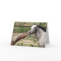 Come on gimme a big kiss! cards