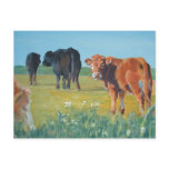 'Come on, keep up' by Mike Jory Postcards