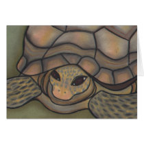 Come Out of Your Shell by Robyn Feeley cards by bungalowart Come Out of Your Shell by Robyn Feeley cards