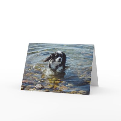 "Come Play With Me" Greeting Card by darenw5