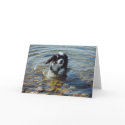 "Come Play With Me" Greeting Card by darenw5 "Come Play With Me" Greeting Card