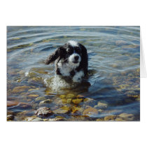 "Come Play With Me" Greeting Card cards