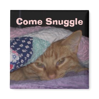 Come Snuggle Cat Magnet magnet