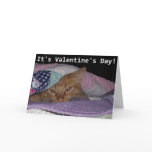 Come Snuggle Cat Valentine cards