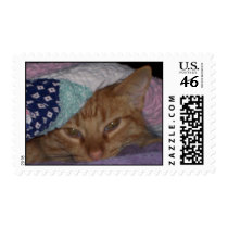 Come Snuggle Stamp